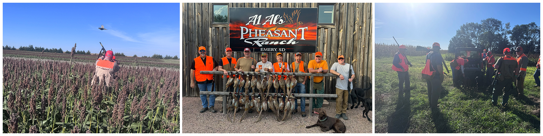 Xigent Pheasant Hunt 2026